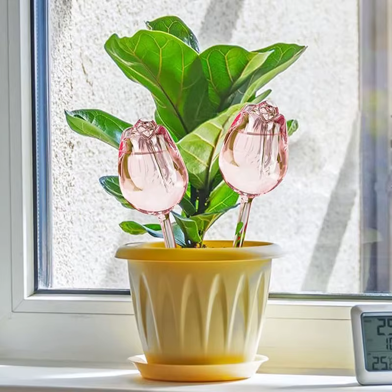 Dispositif d'arrosage créatif pour plantes de jardin Tulip
