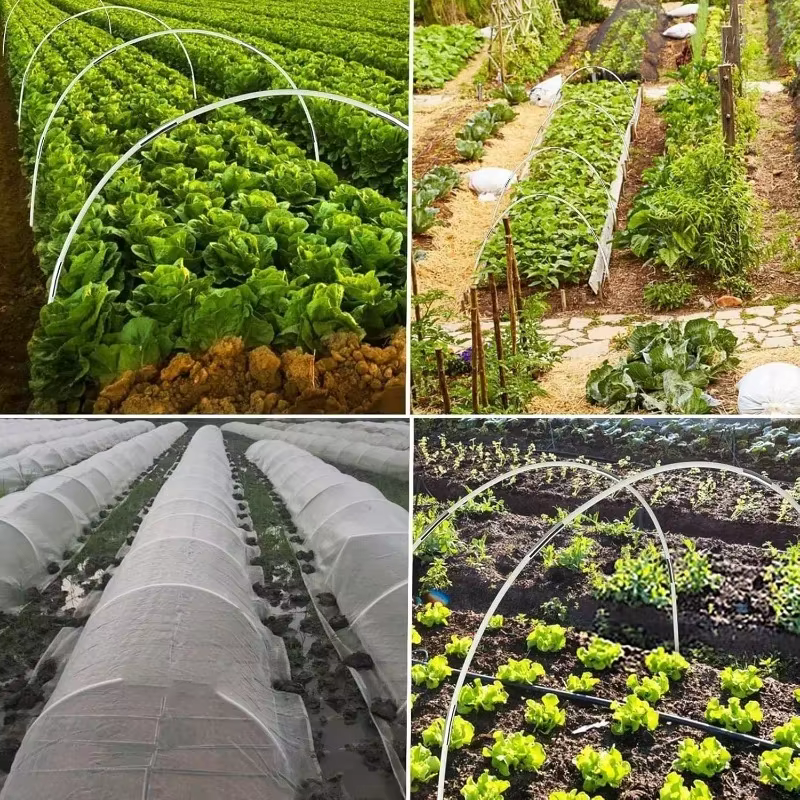 Cerceaux de serre, Support pour plantes de jardinage