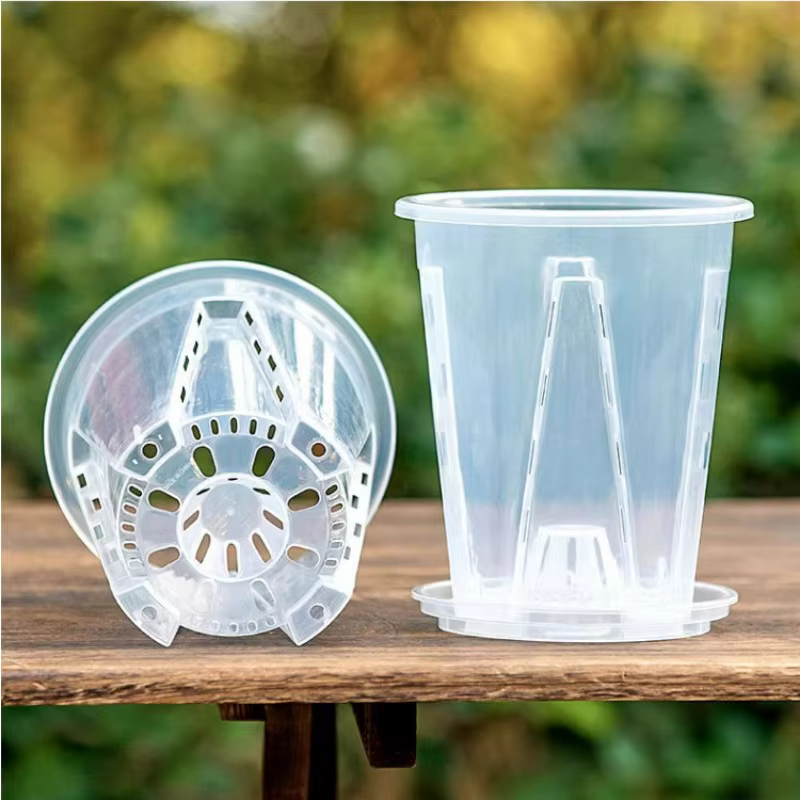 Pot de plantes d'orchidées Transparent