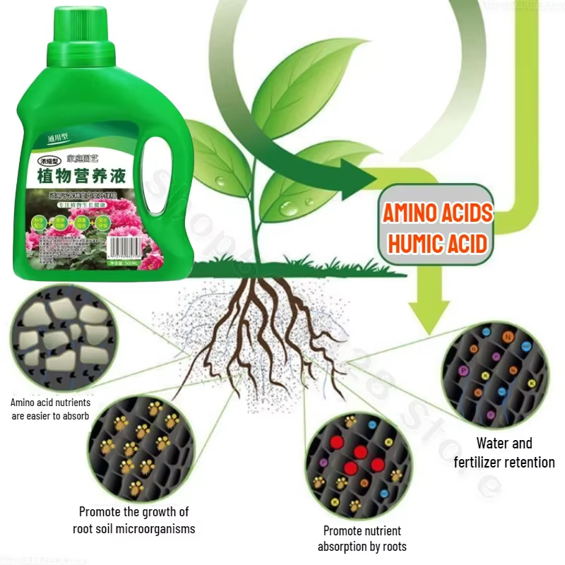 Solution hydroponique pour plantes nutritives