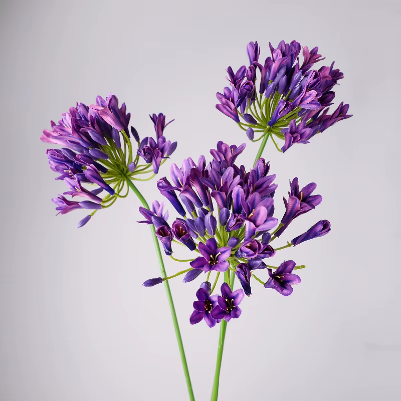 6 pièces de fleurs artificielles d'agapanthus violettes de haute qualité