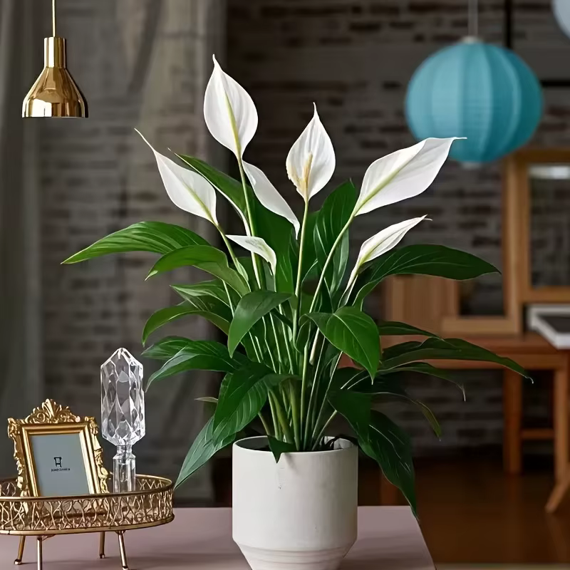 Plante artificielle réaliste en feuilles de palmier blanches