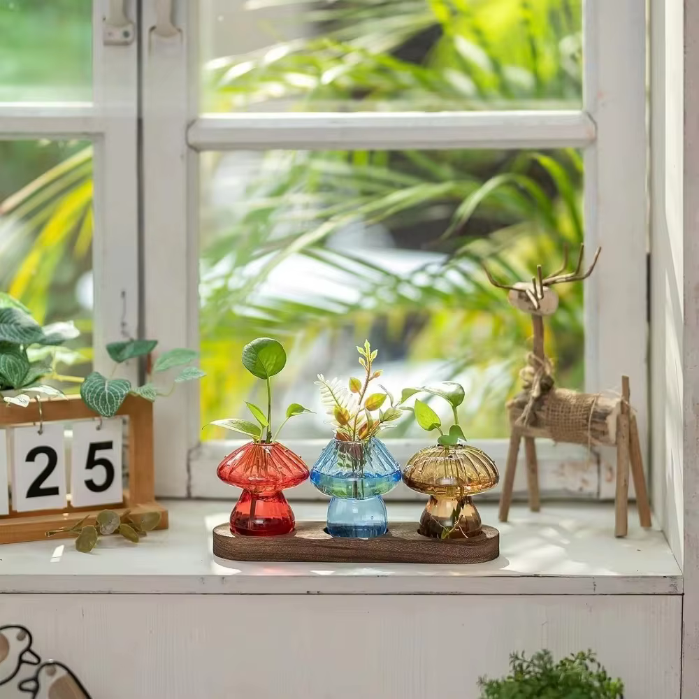 Vase de jardinière en verre de champignon avec Base en bois