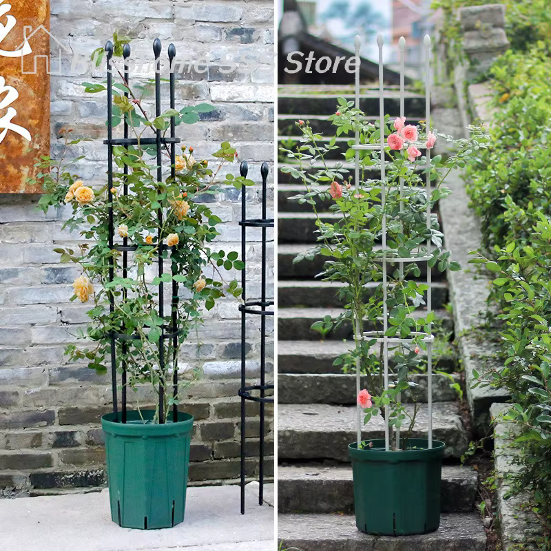 【S】1 ensemble de cages de soutien pour plantes grimpantes