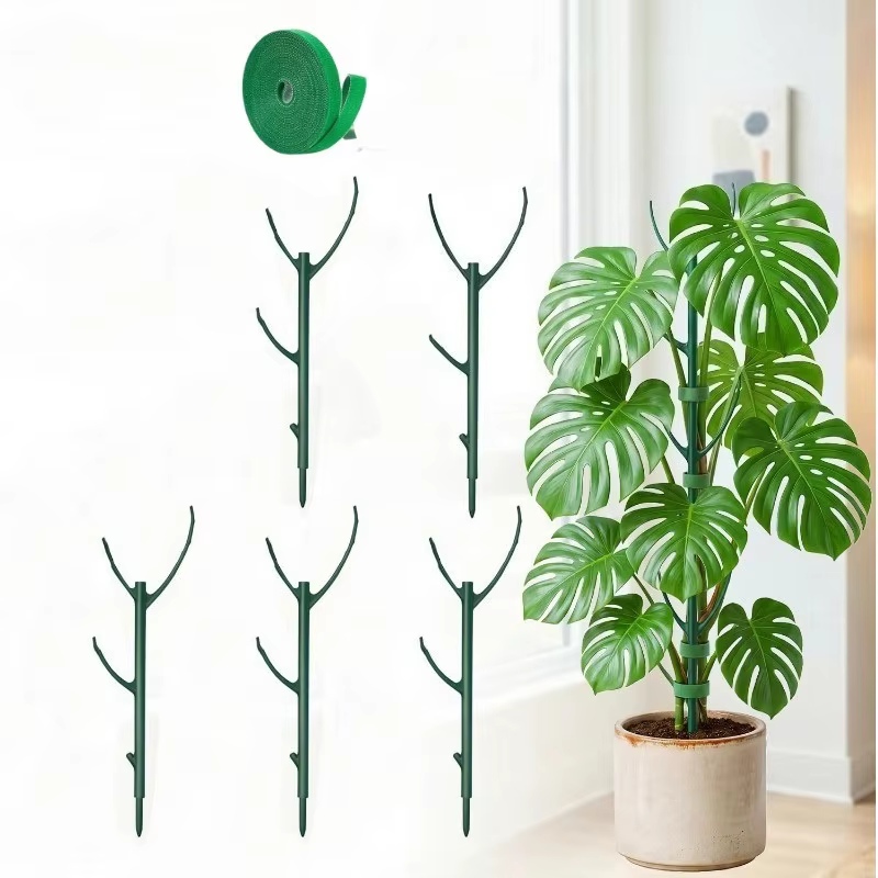 Supports pour plantes Monstera