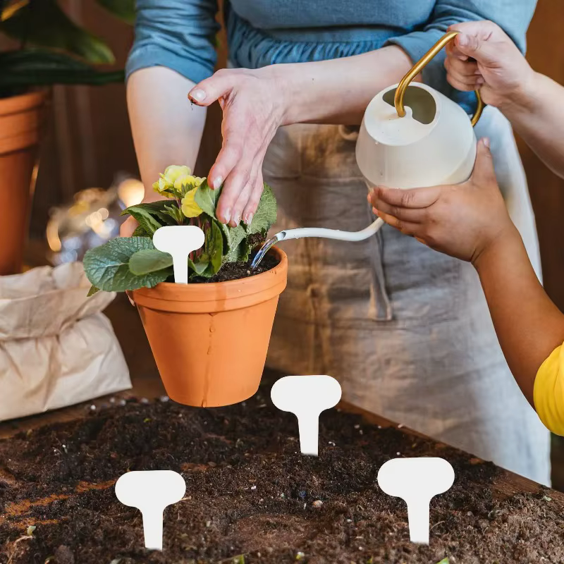 100 étiquettes de jardin en PVC pour plantes en pot