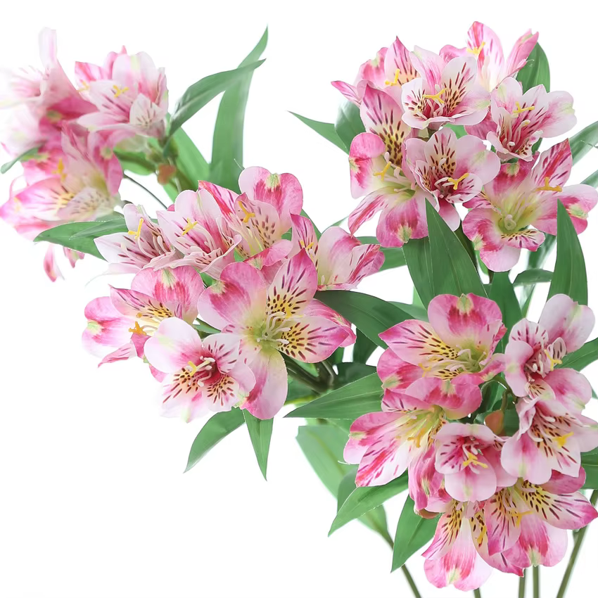 1 pièces 78 cm haute qualité artificielle péruvienne lys Alstroemeria fleurs en soie mariage décor à la maison cadeau F1407