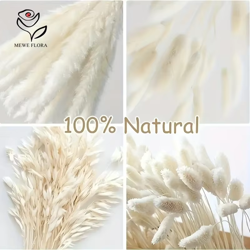 Bouquet de Fleurs vaccées de Pampas Blanche