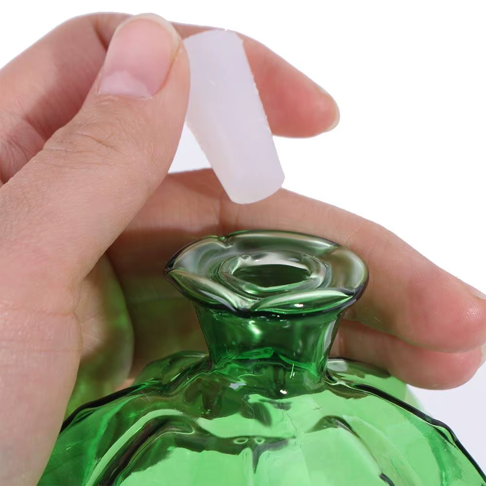Cactus Cactus – Bulbes d'arrosage automatiques en verre pour plantes