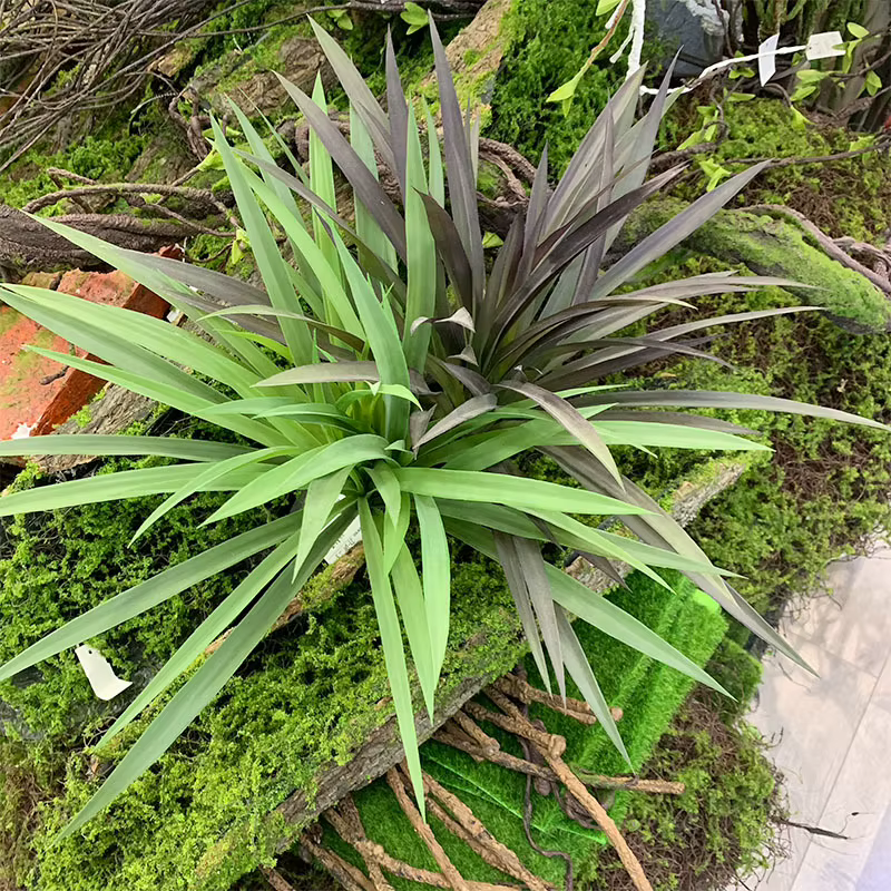 Plante artificielle en plastique Chlorophytum Comosum