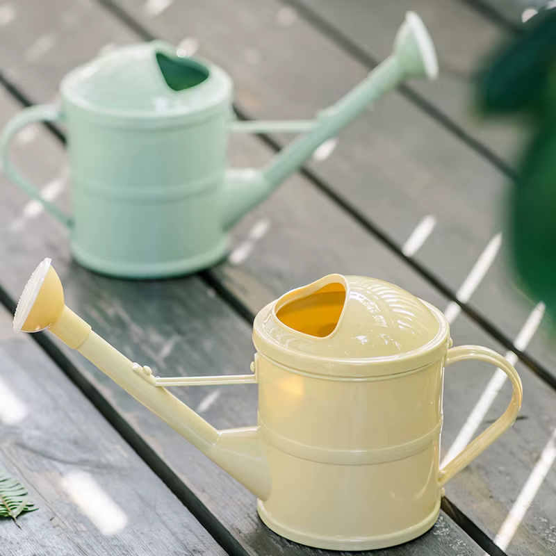 Arrosoir pour plantes, arrosoir décoratif pour fleurs