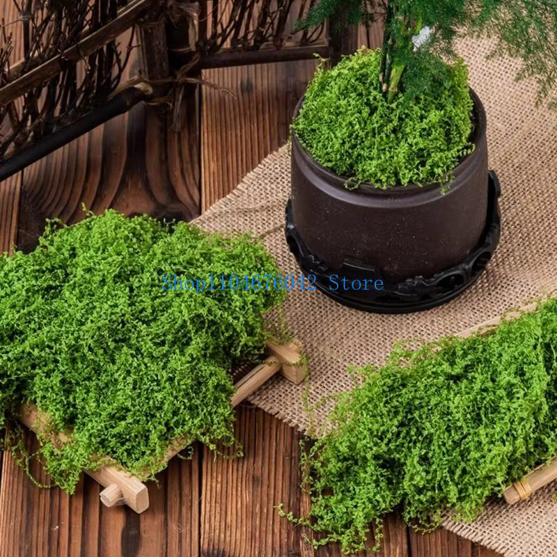 Fausse mousse 5asd pour plante en pot