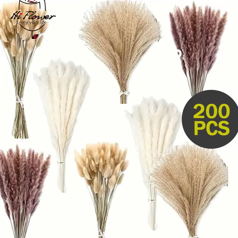 200 pièces Pampas herbe fleurs séchées Boho décoration maison ferme pays salle de mariage Table