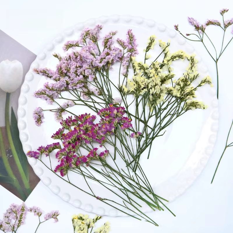 6 pièces, fleurs séchées pressées en herbe de cristal véritable