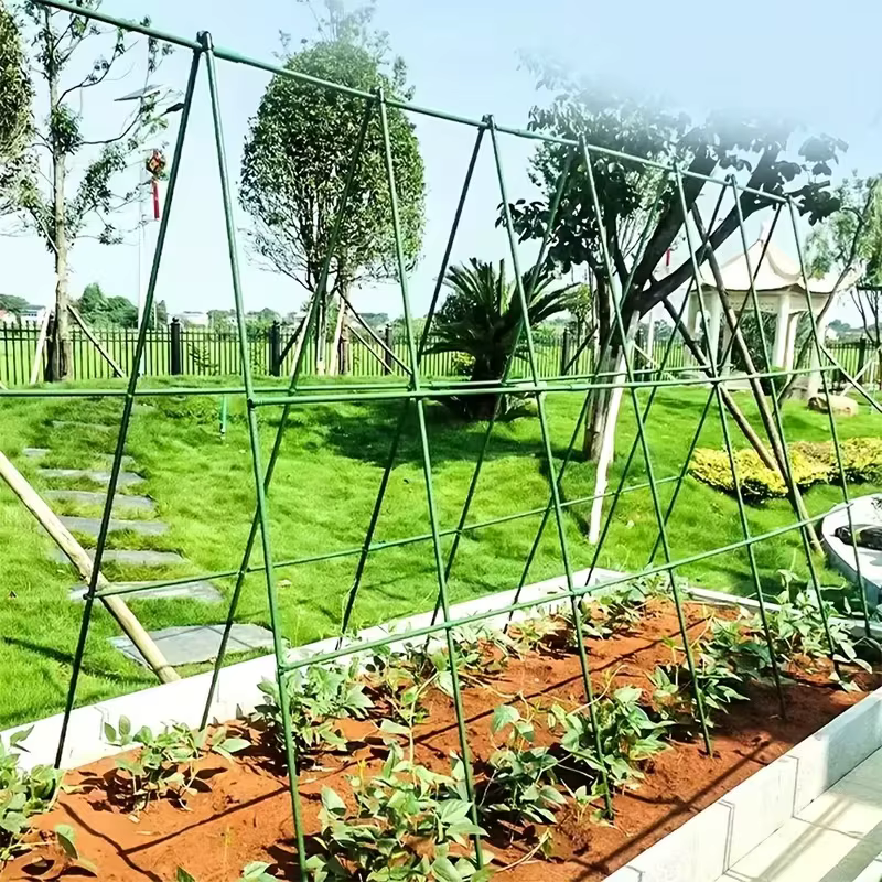 18 supports de croissance pour plantes grimpantes - Tomates