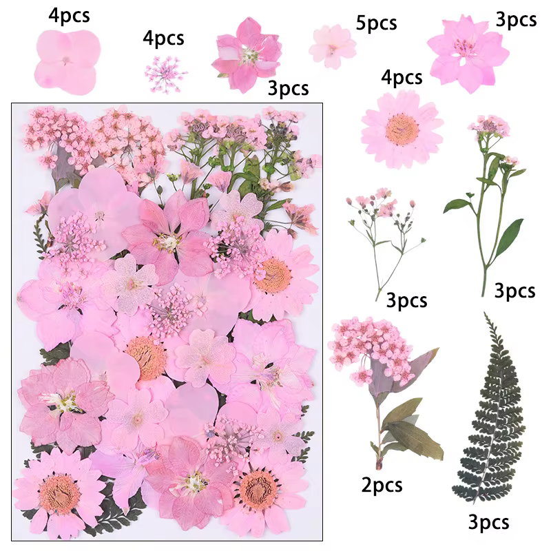 1 paquet de 34 à 40 fleurs séchées