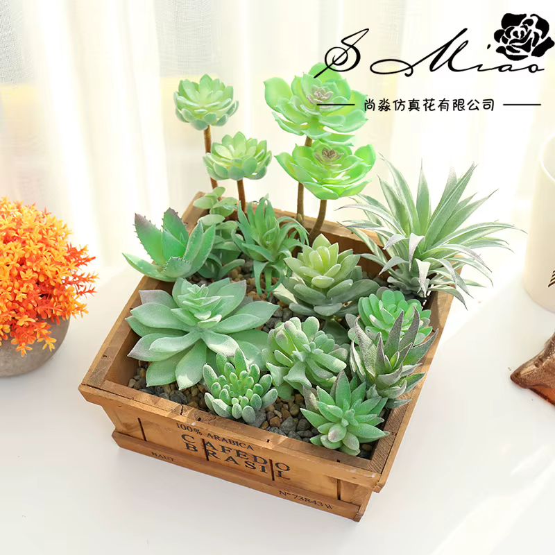 Plantes succulentes artificielles floquées vertes