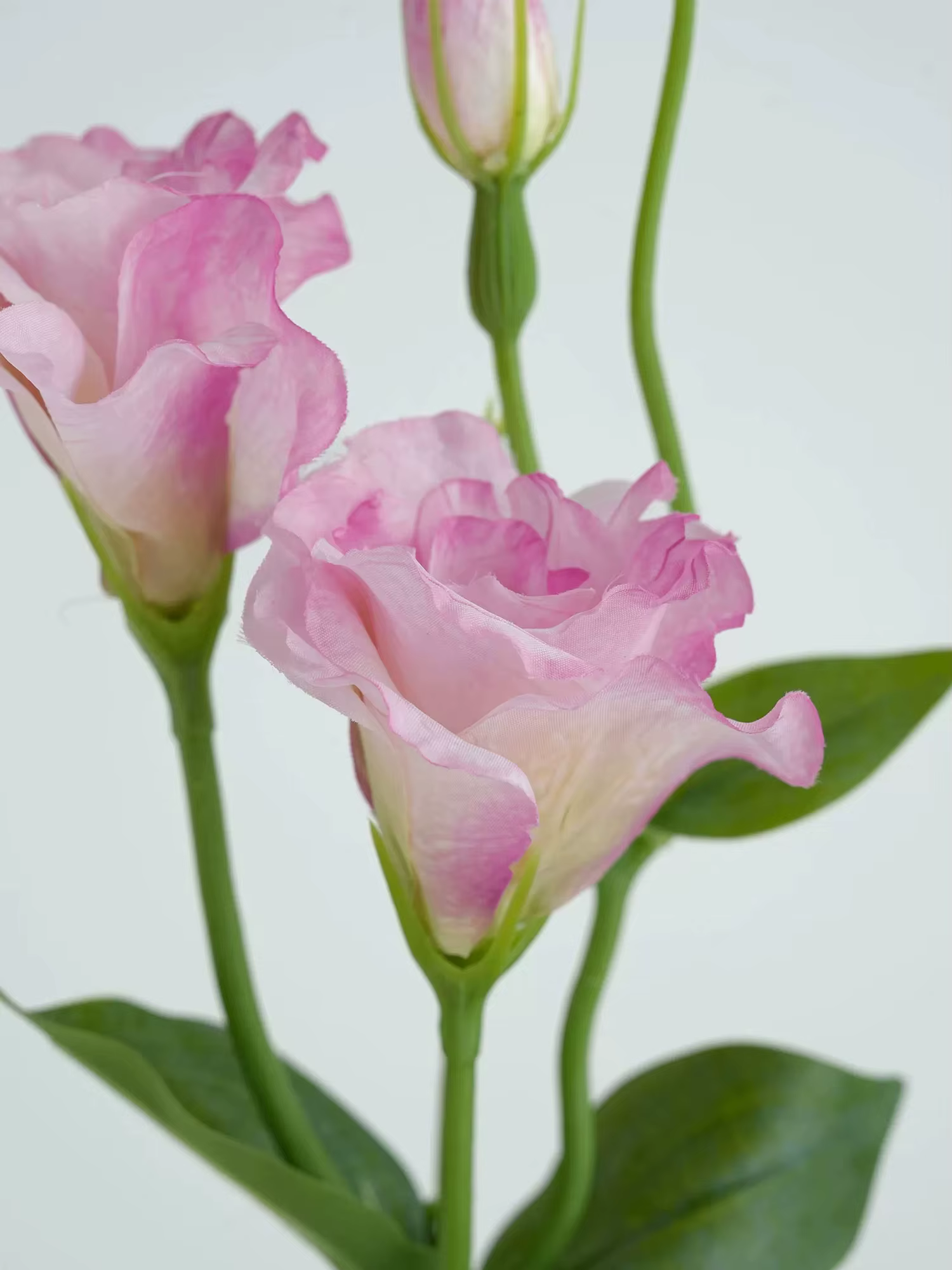 Fleurs artificielles de lisianthus blanches