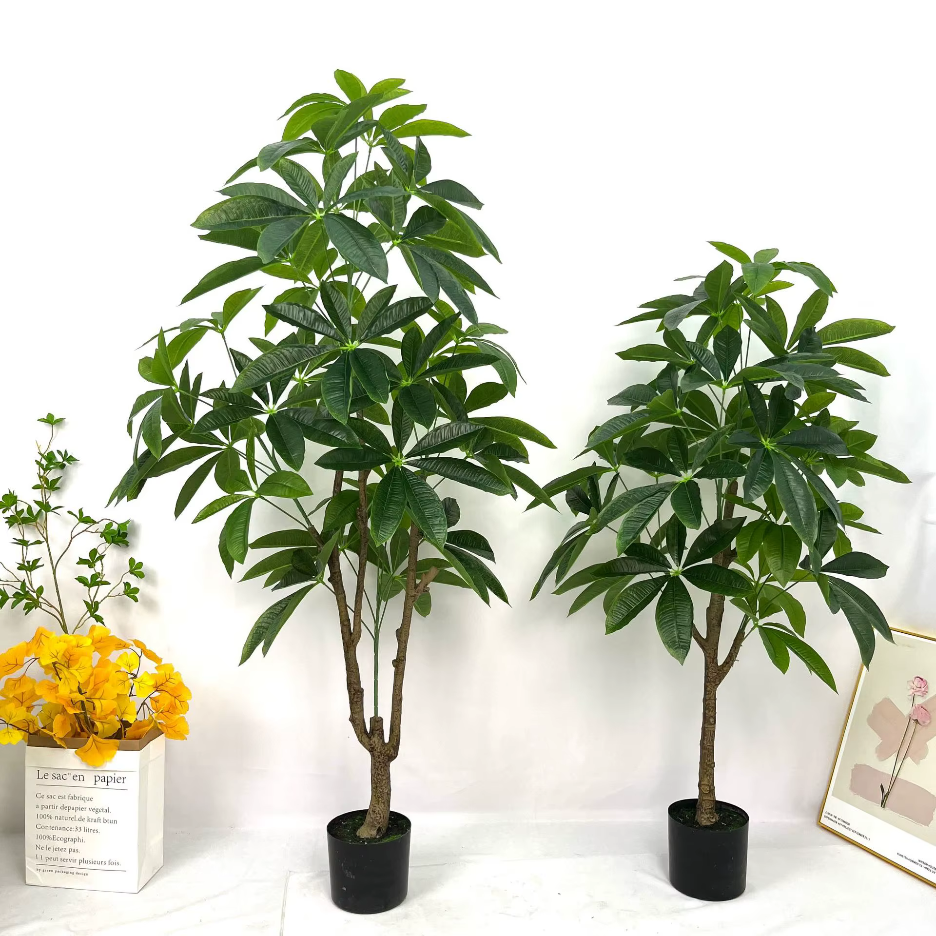 Grande plante verte sur pied en pot