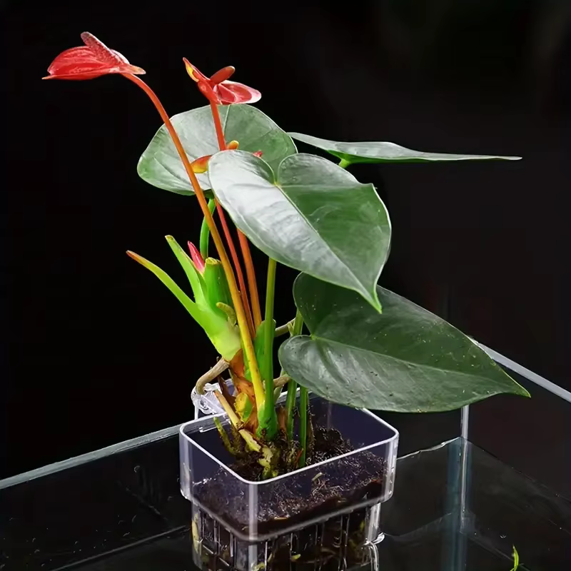 Pot de plantation hydroponique