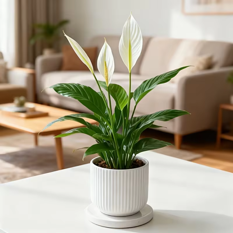 Fleur artificielle de calla printanière - Plante décorative à feuilles vertes et palmiers blancs pour la décoration