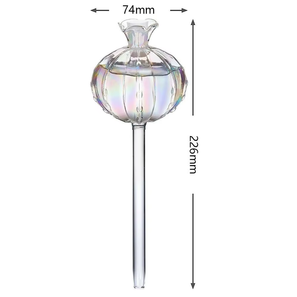 Cactus Cactus – Bulbes d'arrosage automatiques en verre pour plantes