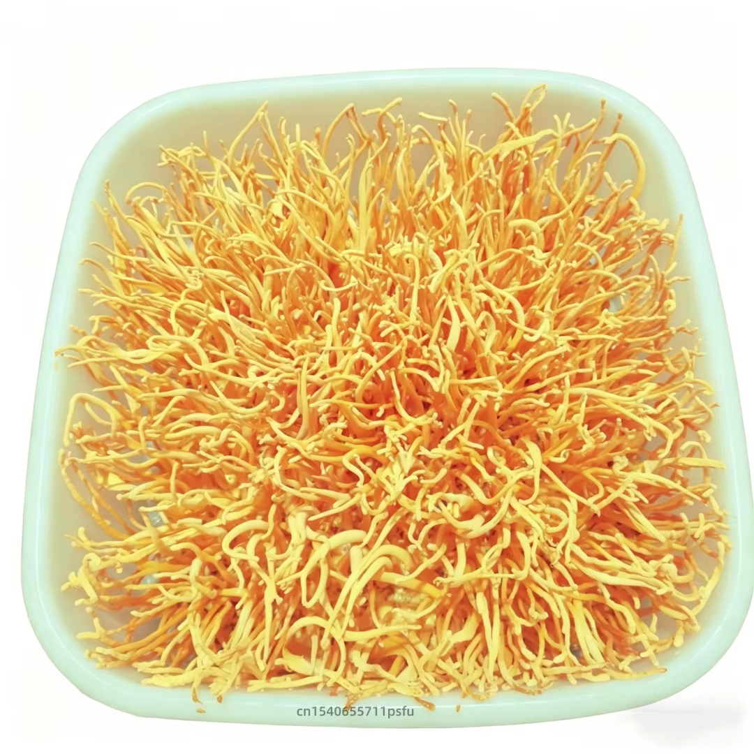 Fleur de Cordyceps séchée naturelle de qualité supérieure pour la fabrication de savon DIY