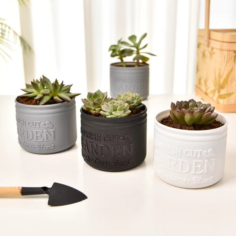 Pot de fleurs rond pour plantes succulentes