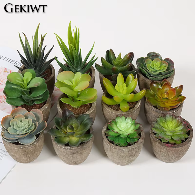 Mini plantes succulentes artificielles à feuilles persistantes