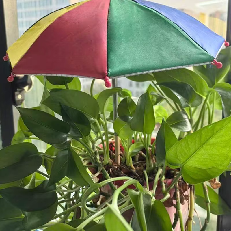 Parasols pour plantes, parapluies jardin imperméables réglables pour cours extérieures
