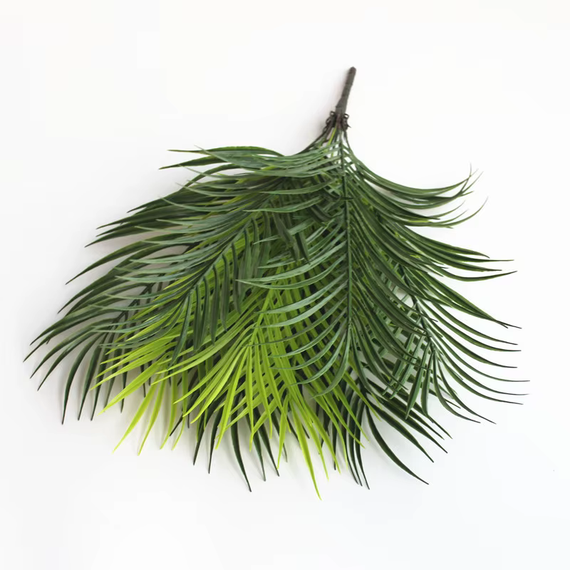 Feuilles de palmier Monstera Tropical