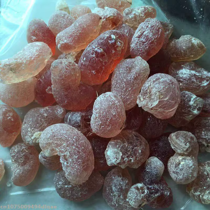Acacia naturel sénégal
