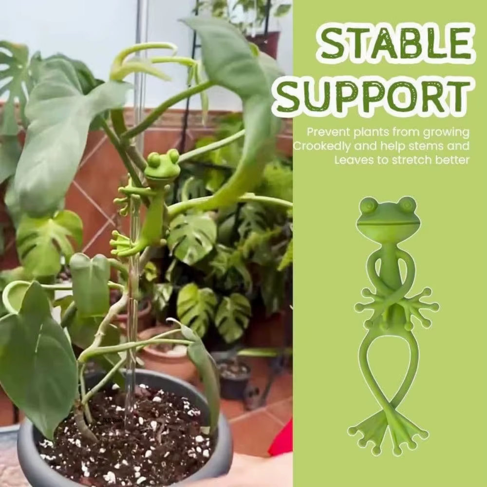 Support pour plantes, accessoires