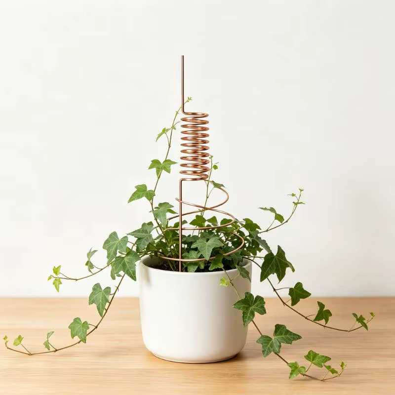 Piquets jardin en cuivre pour améliorer croissance des plantes grâce à technologie d'électroculture, hauteur 30cm
