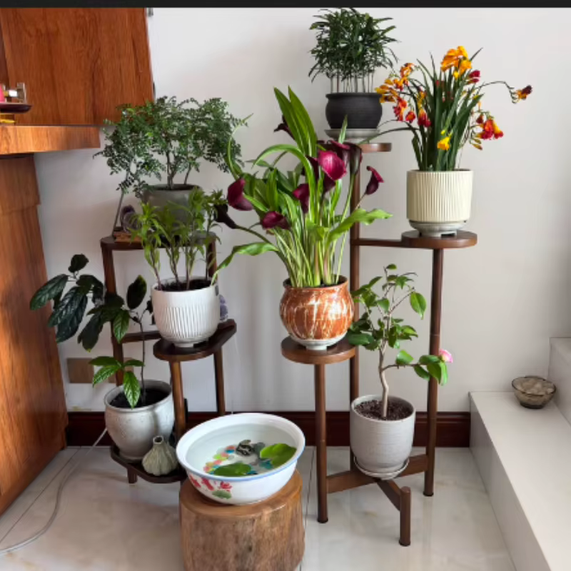 Support pour plantes d'intérieur en bois massif
