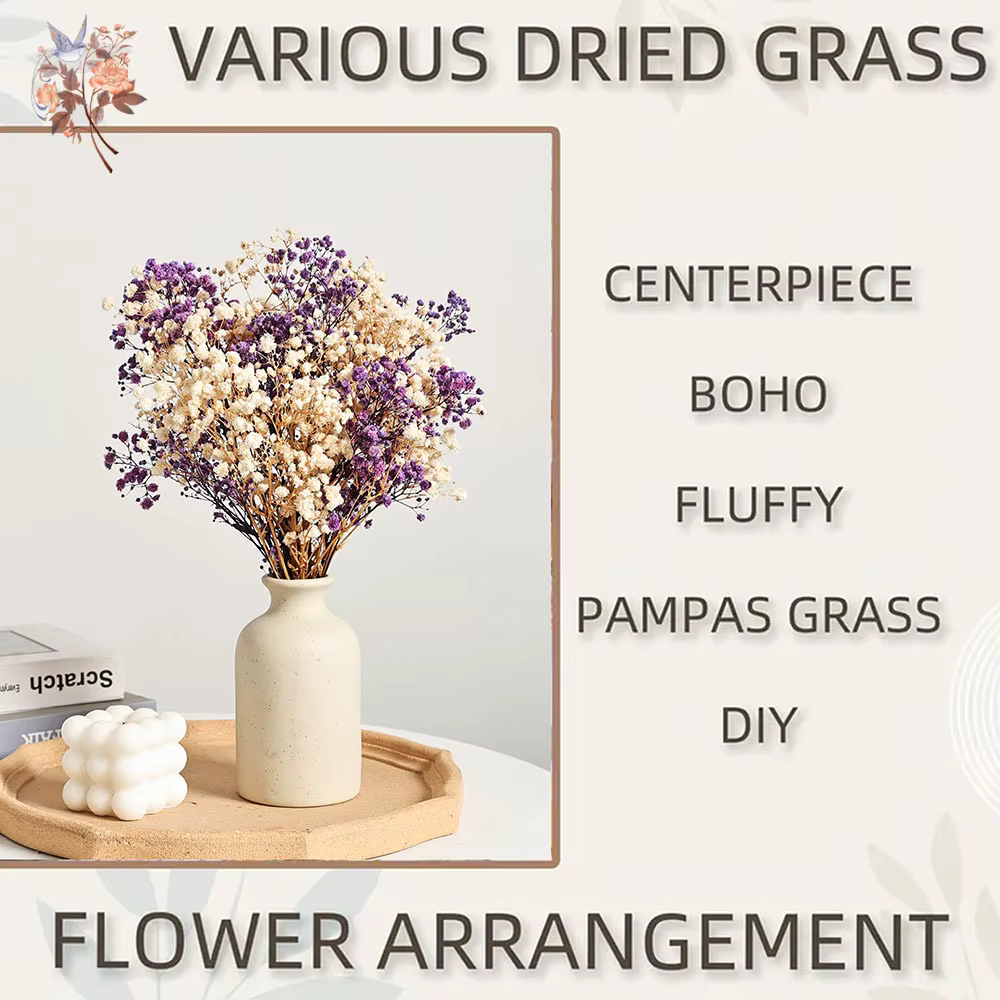 Bouquet de fleurs séchées naturelles Gypsophila (Souffle de bébé) 120g