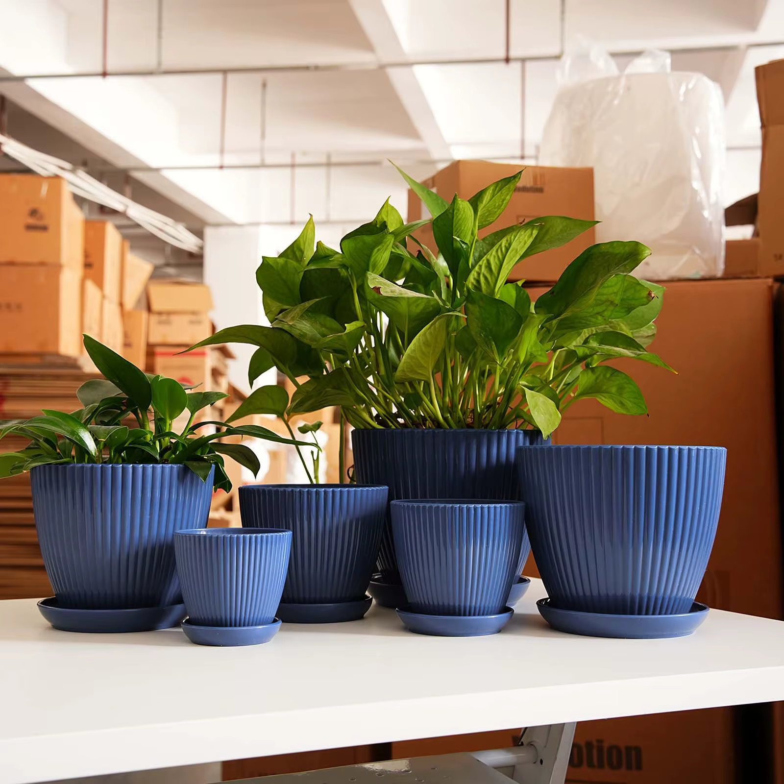 Pot de fleurs vertical rayé épaissi en plastique non-céramique avec soucoupe