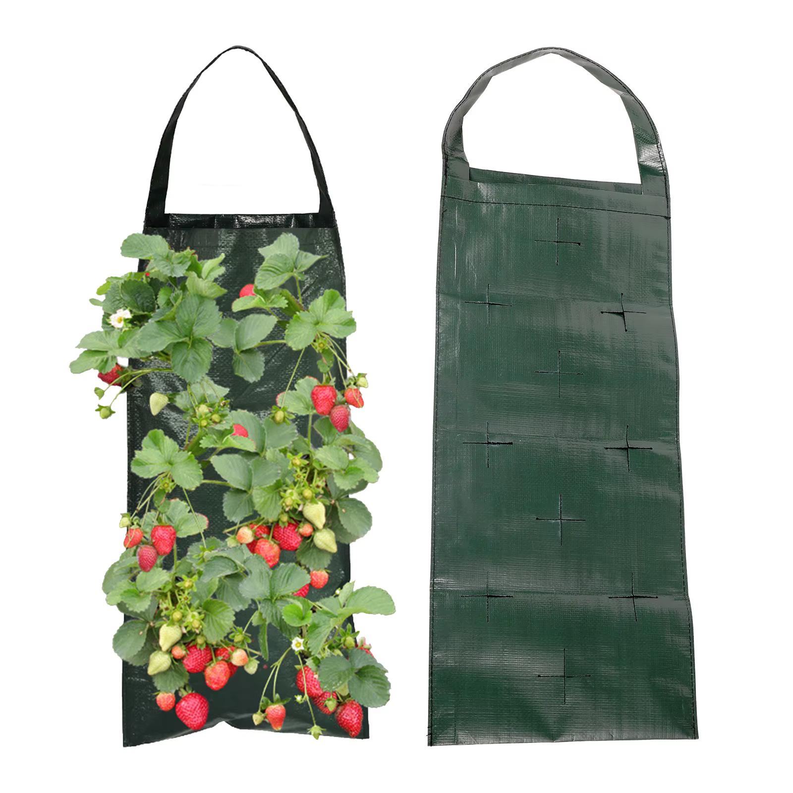 Sacs de culture de plantes Harvey