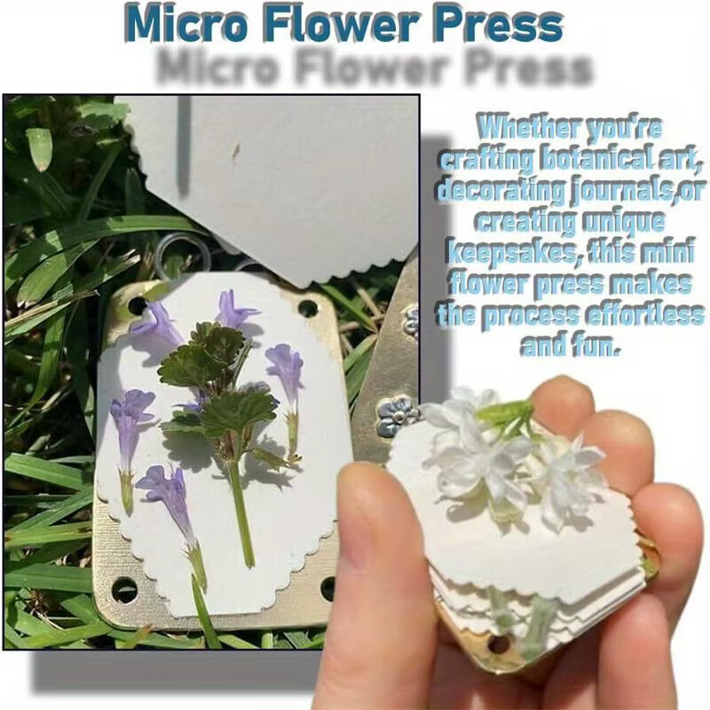 Kit de pressage de micro-fleurs pour la préservation des plantes