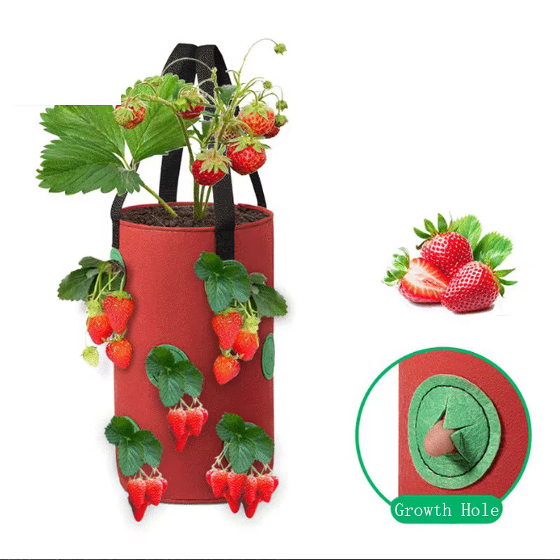 Sac de plantation suspendu pour fraises et tomates