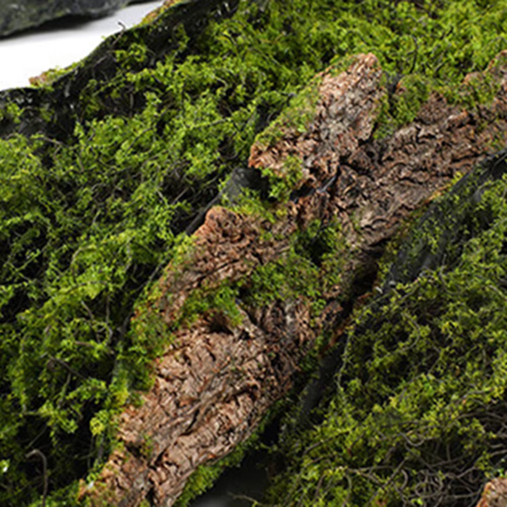 1 Imitation écorce mousse plantation blocs