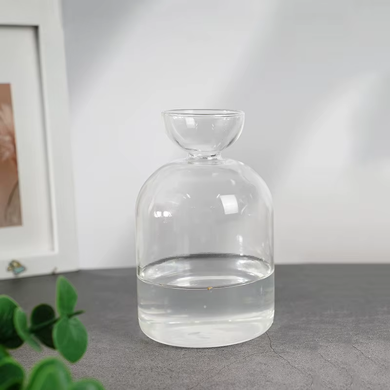 Vase de démarrage de graines d'avocat
