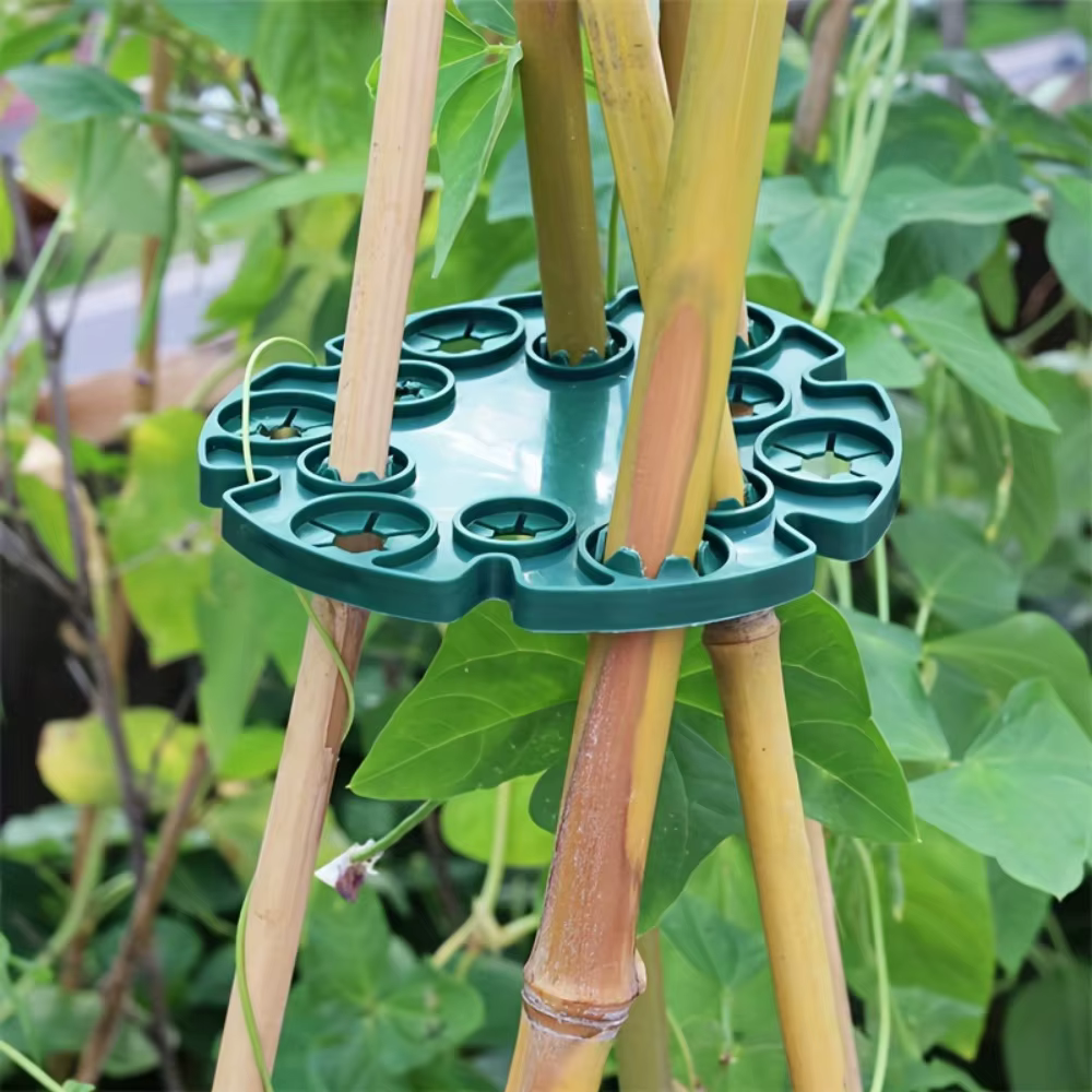 5 disques de fixation pour plantes grimpantes de jardin