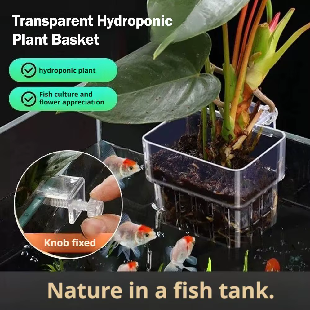 Porte-plante d'aquarium