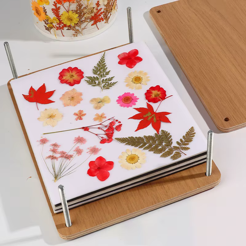 Kit de presse à fleurs 5 couches