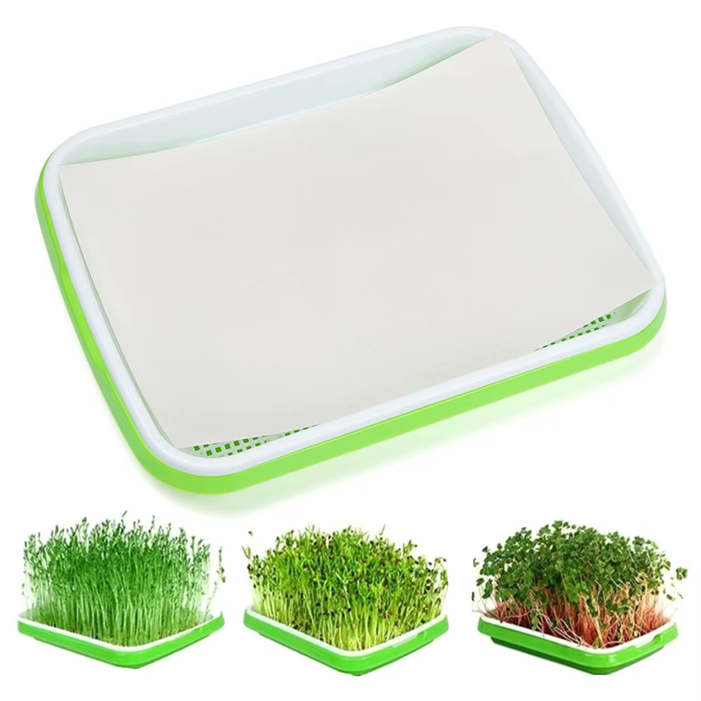 Maison jardin culture hors sol pépinière papier plante boîte graine germener plateau germe Pot pousser Pots