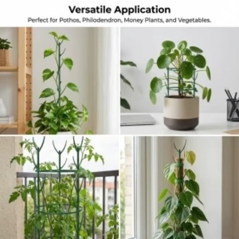 Lot de 6 supports pour plantes Monstera