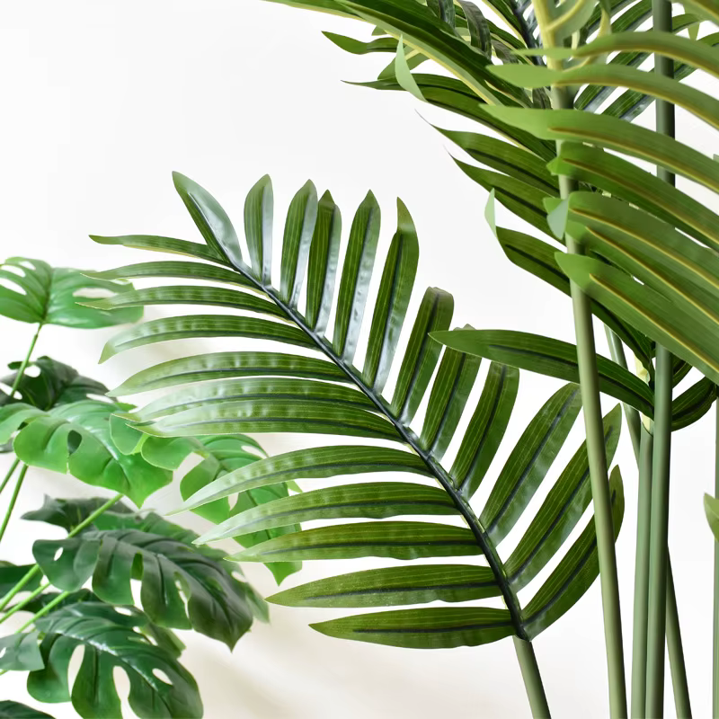 Simulation plante verte Areca