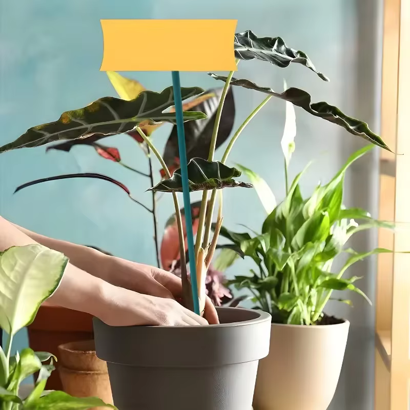 Tuteurs réutilisables pour plantes