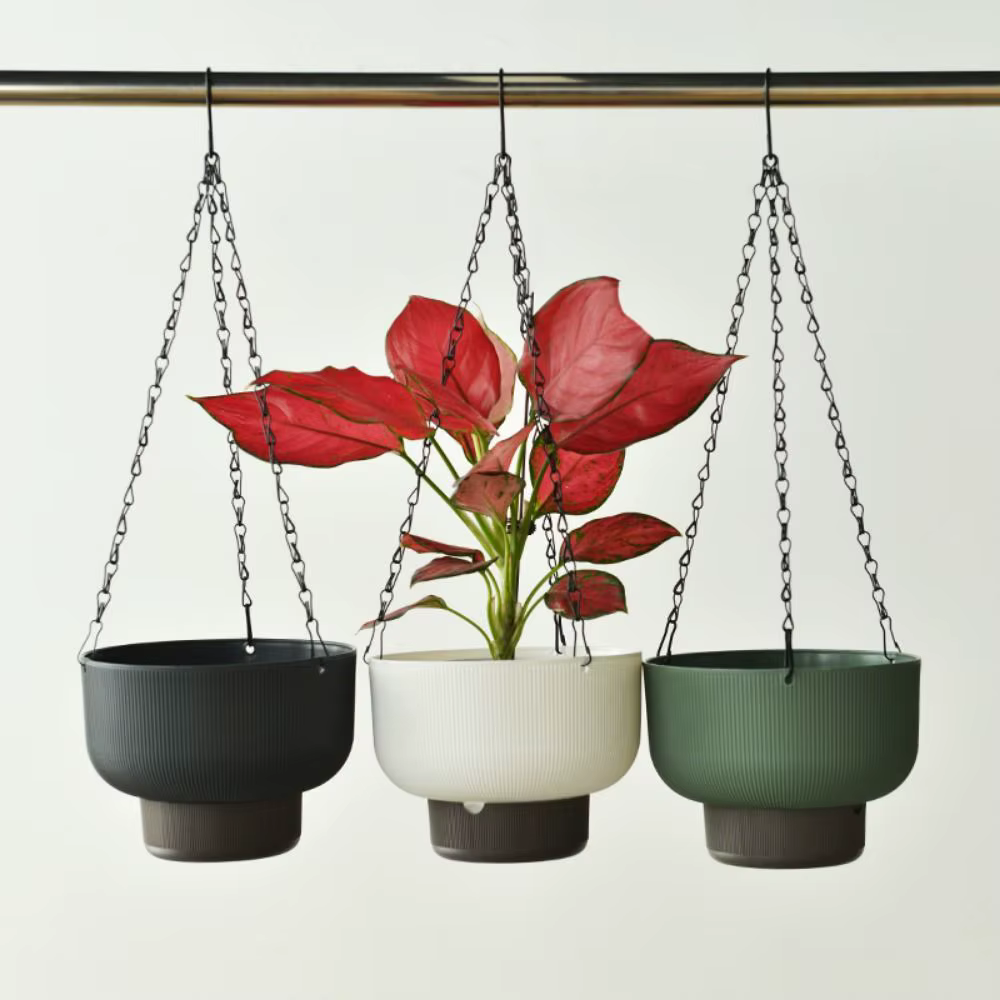Pots de fleurs suspendus auto-arrosants blancs